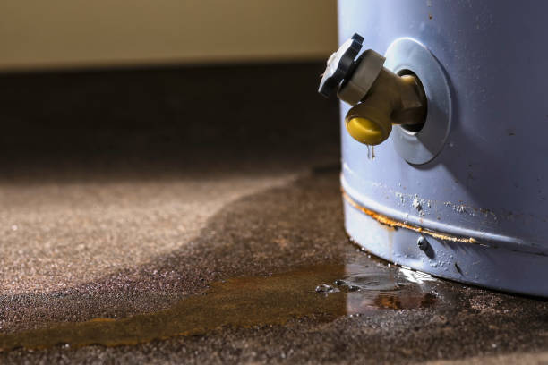 Best Carpet water damage restoration  in Summit, NJ
