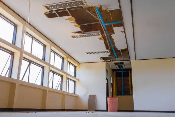 Best Commercial water damage restoration  in Summit, NJ
