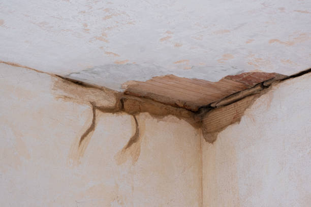 Best Water damage restoration near me  in Summit, NJ