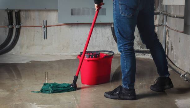 Best 24/7 water damage repair  in Summit, NJ
