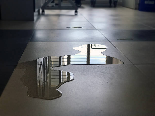 Best Commercial water damage restoration  in Summit, NJ