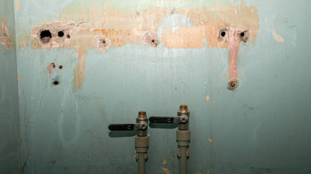 Best Carpet water damage restoration  in Summit, NJ