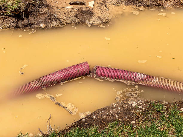 Best Basement water damage restoration  in Summit, NJ