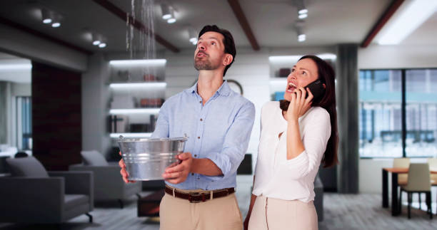 Best Basement water damage restoration  in Summit, NJ