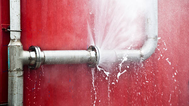 Best Flood restoration services  in Summit, NJ