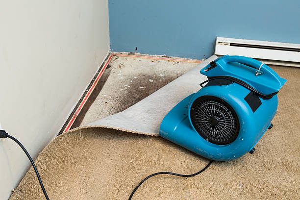 Best Professional water damage repair  in Summit, NJ